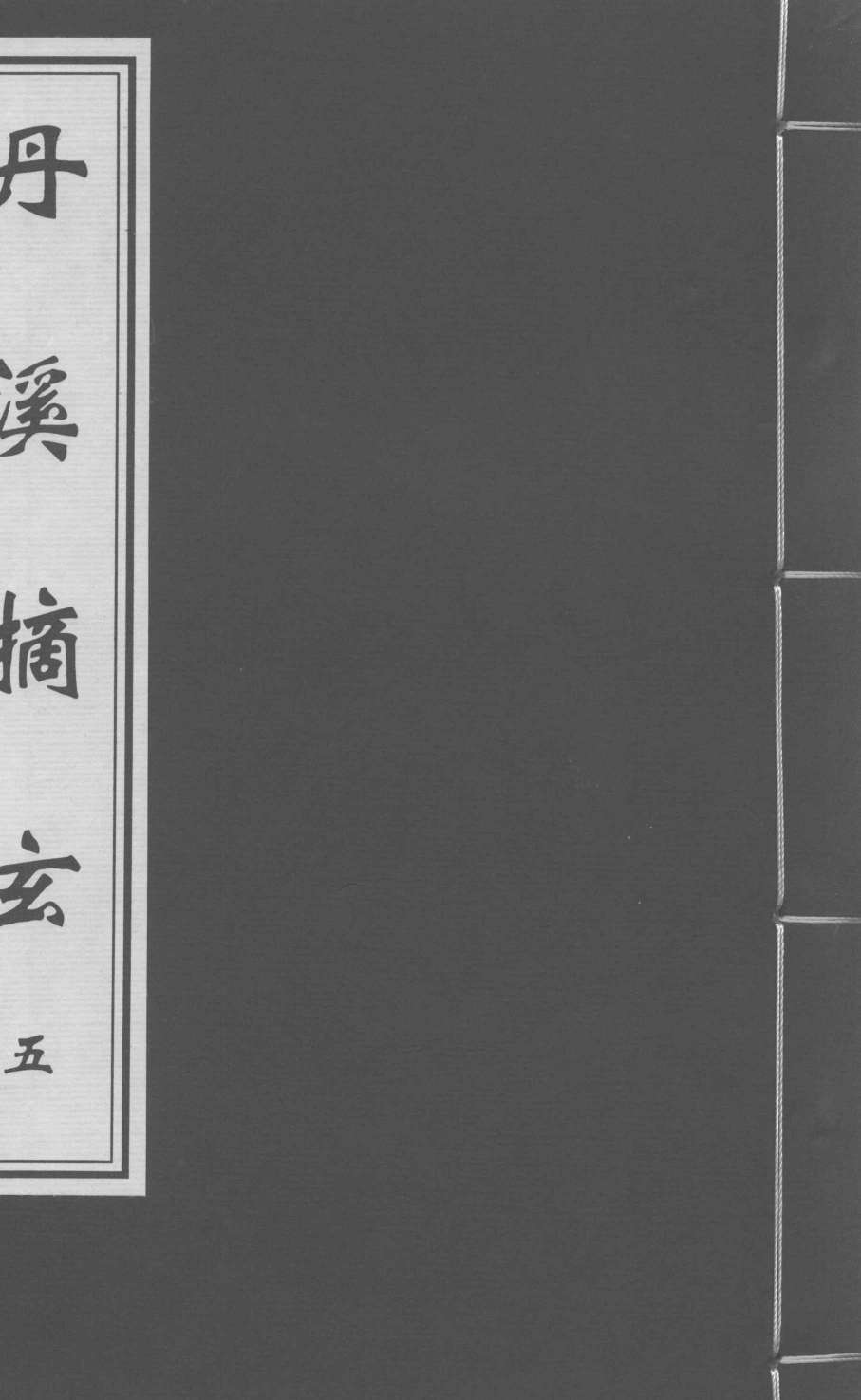 丹溪摘玄  卷5